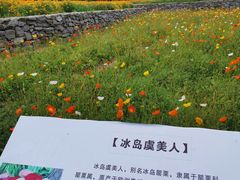 -江苏三台山国家森林公园
