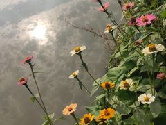 -长兴太湖图影湿地文化园