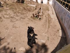 -大青山野生动物园