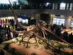 -自贡恐龙博物馆