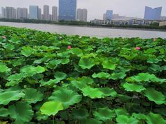 -潜龙渠公园