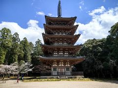 -醍醐寺