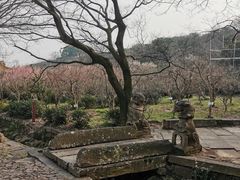 -雨花胜境
