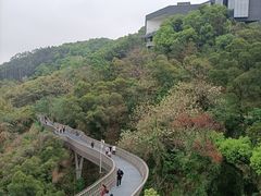 -福道