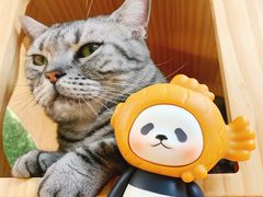 -猫和宫(六道口店)