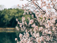 -颐和园