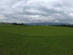 -翠田Green Field Kitchen