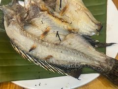 -杨合林啊兰烤鱼