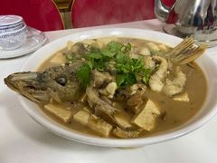 红烧狗鱼-煲来饱去冷水鱼
