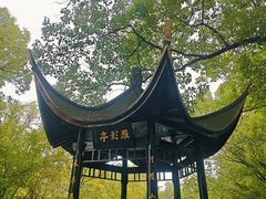 -东湖落雁景区