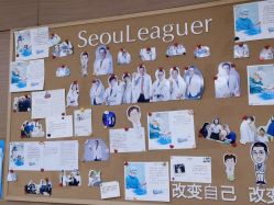 -上海首尔丽格医疗美容医院