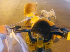 -东方之珠洗浴休闲广场(南开店)