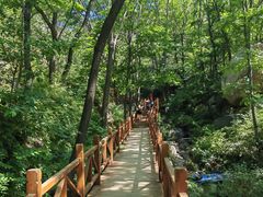 -大岭沟猕猴桃谷风景区
