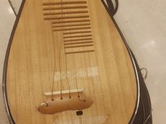 -祥瑞声华乐器行