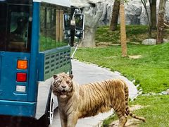 -北京野生动物园