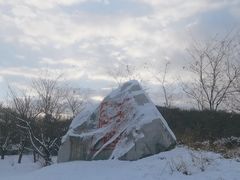 -金石滩蓝莓谷庄园