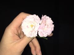 -鹦鹉小厨味道餐厅(山大南路店)