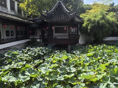 -上海醉白池公园