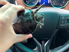 -轻武器博物馆