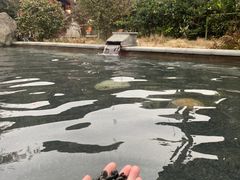 -咸宁万豪温泉谷度假区