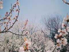 -国家植物园