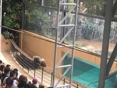 -清迈夜间动物园