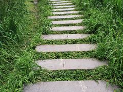 -贵阳市花溪国家城市湿地公园