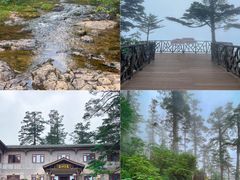 -瓦屋山景区