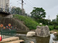 -前关湿地公园