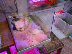 -双季花艺园艺市场(浦东店)
