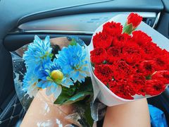 -朝来春花卉市场-东停车场