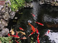 -鲤院·新中式美学·庭院餐厅(夫子庙店)