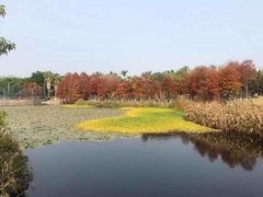-厦门园林博览苑