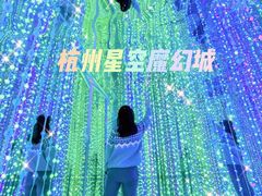 -杭州西湖星空魔幻城(星空艺术馆品牌旗舰店)