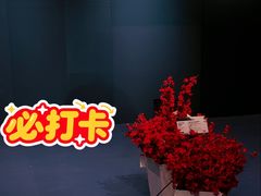 -宜家家居(宝山商场店)