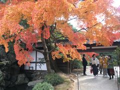 -京都御所