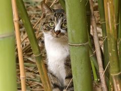 -苏州河梦清园环保主题公园