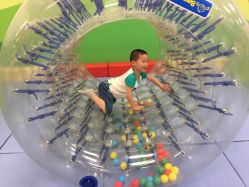 -莫莉幻想儿童乐园(武汉经开永旺店)