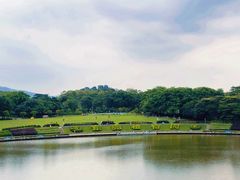 -东莞植物园