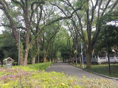 -桂林独秀峰王城景区