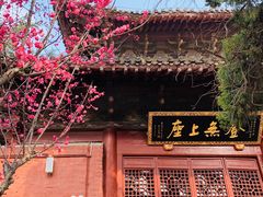 -洛阳白马寺