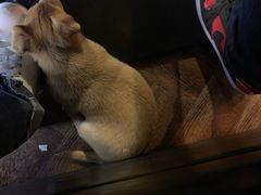 -三生小馆(亭知路店)
