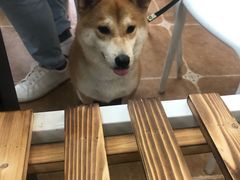 -北戴河庆山饭店·海鲜砂锅粥(北戴河黑石路店)