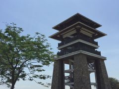 -大湾区中央湿地公园