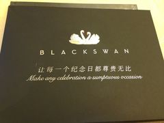 -BLACKSWAN黑天鹅(环球店)