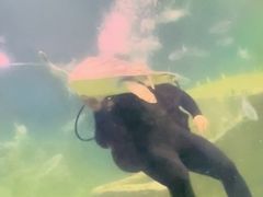 -嘉兴海底世界