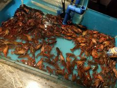 -星伦多 自助料理(圆融店)