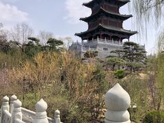 -迎泽公园
