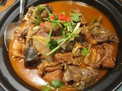 甲鱼土鸡锅-洪湘记川湘·甲鱼馆(四海凯悦美食广场店)