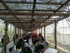 -前小桔亲子创意农场·草莓采摘·露营烧烤